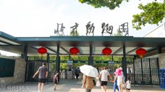 中国第一大动物园：北京动物园遛娃避暑胜地