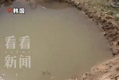 韩国溺水幼童遭11家医