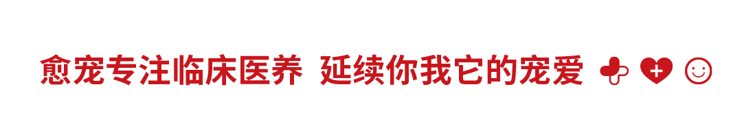 新文章标头.png